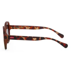 Hello Hossy Lunettes de Soleil Koody Craky Khaki - Online